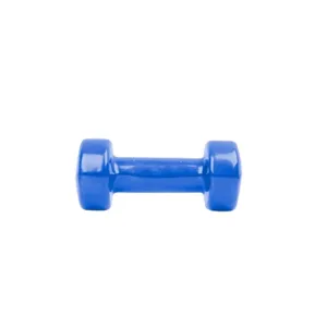 1 Piece Vinyl Dumbbell 0.5KG Blue