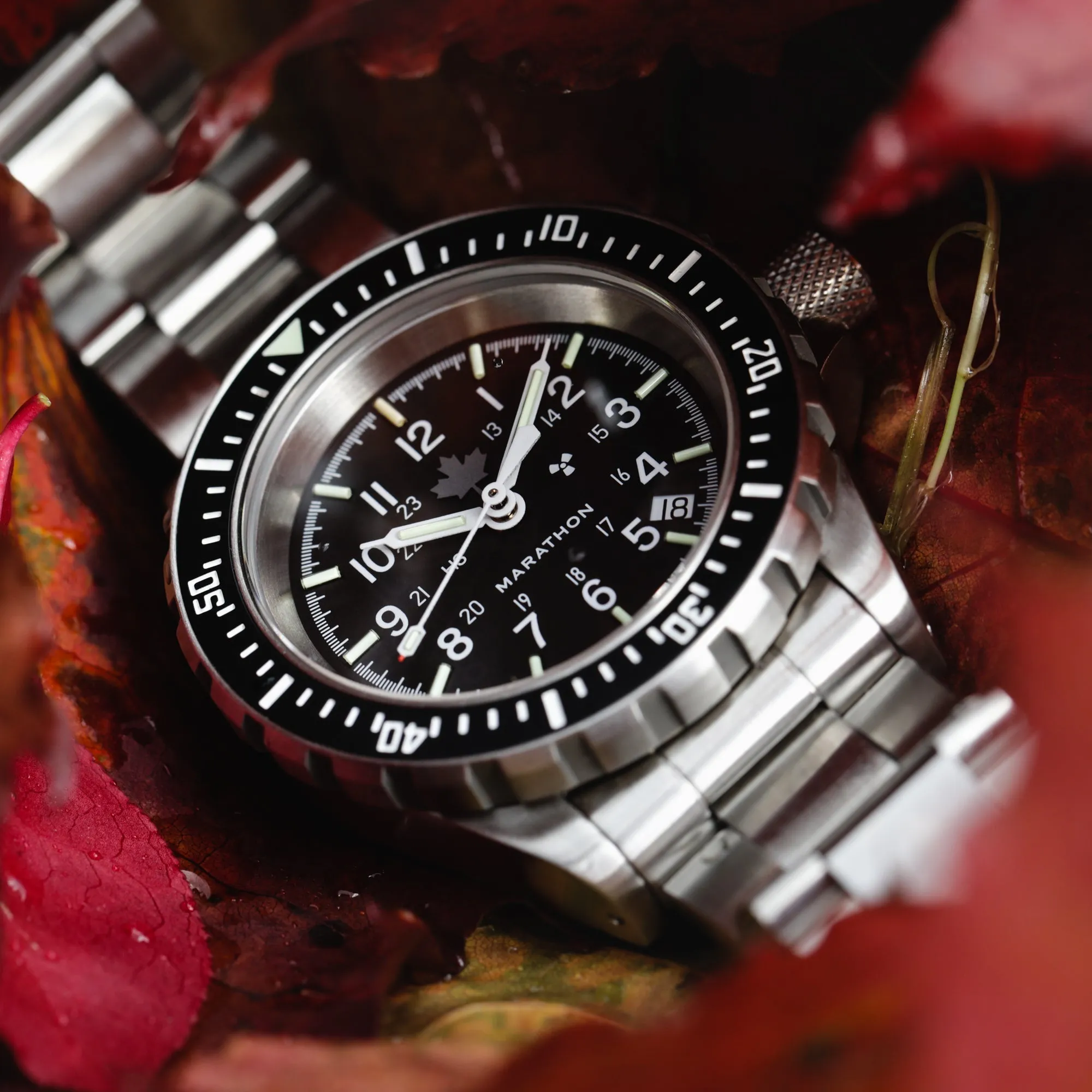 GREY MAPLE LARGE DIVER'S AUTOMATIC (GSAR) WITH STAINLESS STEEL BRACELET - 41MM